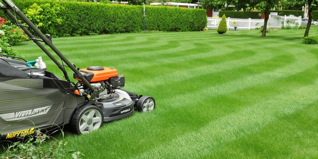 Gräsklippning i bostadsområde med grön gräsmatta.