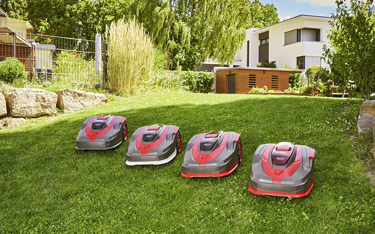 Solo by AL-KO Robolinho robotgräsklippare på en gräsmatta